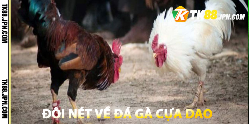 Giới thiệu đôi nét về hình thức đá gà cựa dao kịch tính