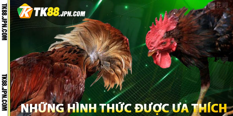 Những hình thức đá gà được ưa thích trên nền tảng TK88