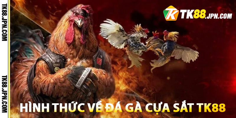 Thông tin chung về hình thức đá gà cựa sắt hút khách