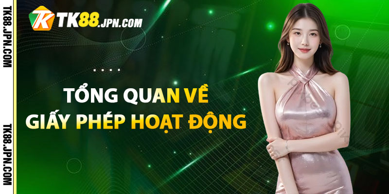 Tổng quan thông tin về giấy phép hoạt động của TK88
